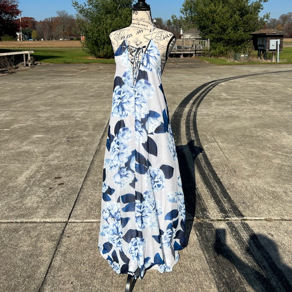 Show Me Your MuMu Sz S Blue Roses dress